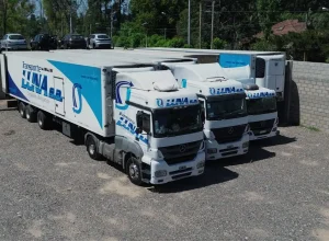 flota-tres-camiones.webp